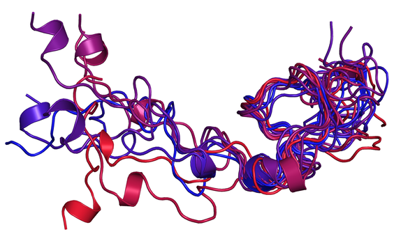 Fuzzy conformational ensemble of an intrinsically disordered protein